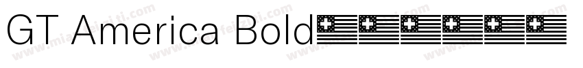 GT America Bold字体转换